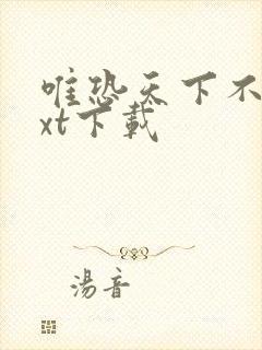 唯恐天下不乱txt下载