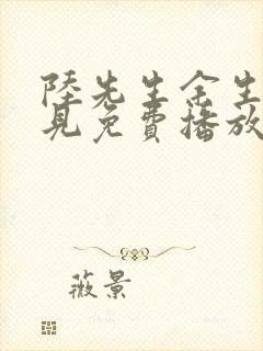 陆先生余生不再见免费播放