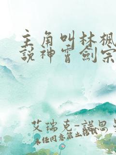 主角叫林枫的小说神霄剑宗