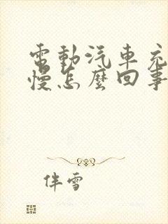 电动汽车充电太慢怎么回事