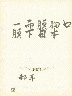 一面膜胸口一面膜下日本