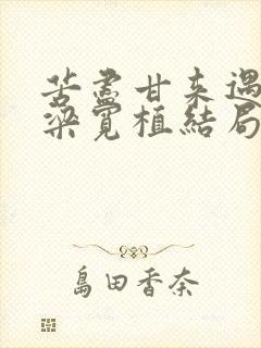 苦尽甘来遇见你梁宽植结局