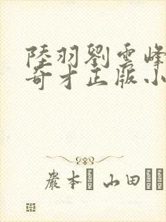 陆羽刘云峰鸿途奇才正版小说