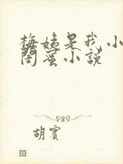 梅姨是我小妈的闺蜜小说