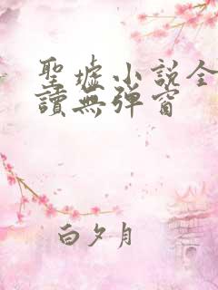 圣墟小说全文阅读无弹窗