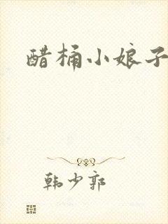 醋桶小娘子