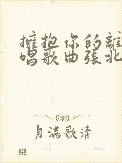 拥抱你的离去原唱歌曲张北北