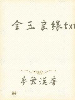 金玉良缘txt