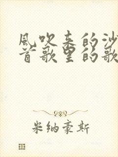风吹来的沙是哪首歌里的歌词
