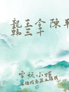 龙王令 陈平 韩三千