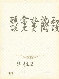 顾念北沈知宁小说免费阅读最新章节