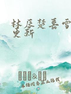 林辰楚嘉雪刚刚更新