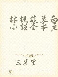 林枫苏慕白穿越小说全本免费阅读傲世潜龙