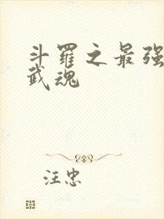 斗罗之最强治疗武魂