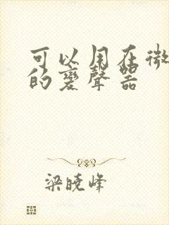 可以用在微信里的变声器