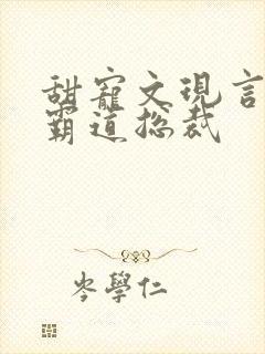 甜宠文现言推荐霸道总裁