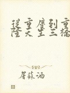 从重庆到重庆武隆天生三桥