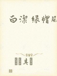 白洁 绿帽风云