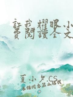 许我耀眼小说免费阅读全文最新章节