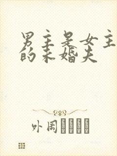 男主是女主姐姐的未婚夫