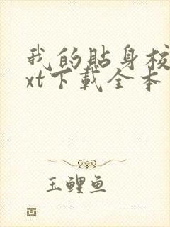 我的贴身校花txt下载全本