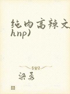 纯肉高辣文(高hnp)