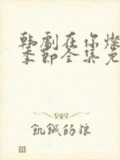 韩剧在你灿烂的季节全集免费观看