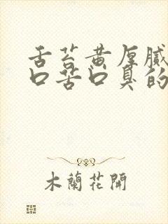 舌苔黄厚腻口干口苦口臭的药