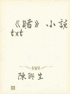 《赌》小说网盘txt