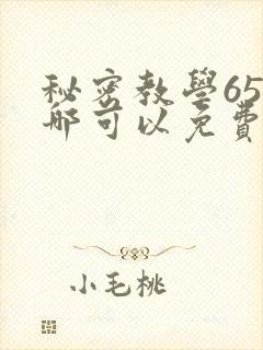秘密教学65在哪可以免费阅读