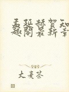 孟延赫贺知琳笔趣阁最新章节