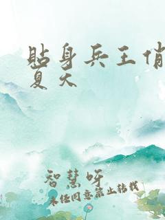 贴身兵王俏总裁夏天