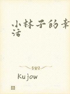 小林子的幸福生活