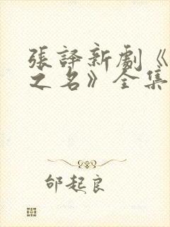 张译新剧《以法之名》全集免费观看