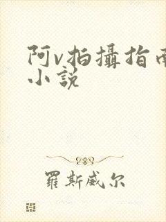 阿v拍摄指南说小说