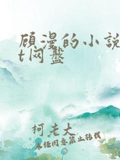 顾漫的小说txt网盘