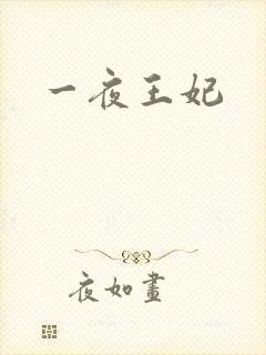 一夜王妃