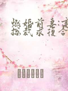 燃婚前妻:高冷总裁求复合
