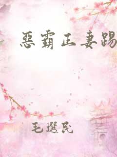恶霸正妻踢娇妾