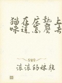 猫在床垫上拉尿味道怎么去除