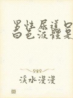 男性尿道口就出白色液体是怎么回事