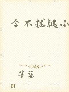 合不拢腿小说