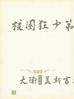 校园狂少第二部