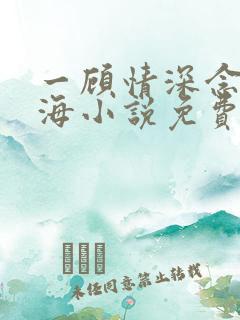 一顾情深念念似海小说免费阅读
