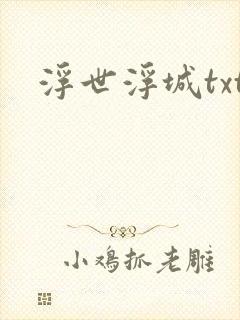 浮世浮城txt