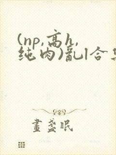 (np,高h,纯肉)乱l合集