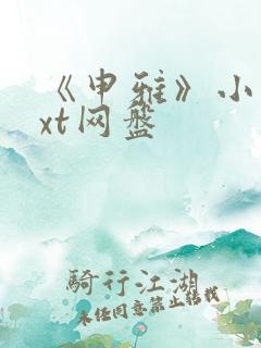 《申雅》小说txt网盘