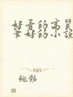 好看的高质量文笔好的小说