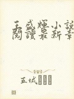 王盛辉小说免费阅读最新章节