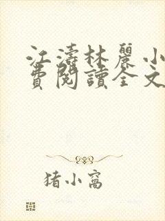 江涛林丽小说免费阅读全文